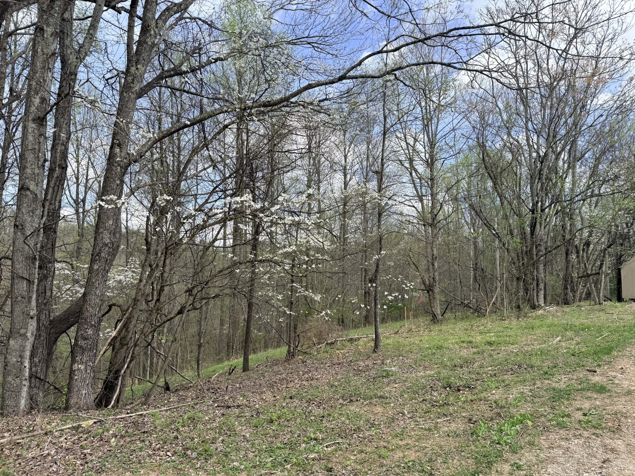 935 Sugar Tree Knob Road Liberty TN 37095
