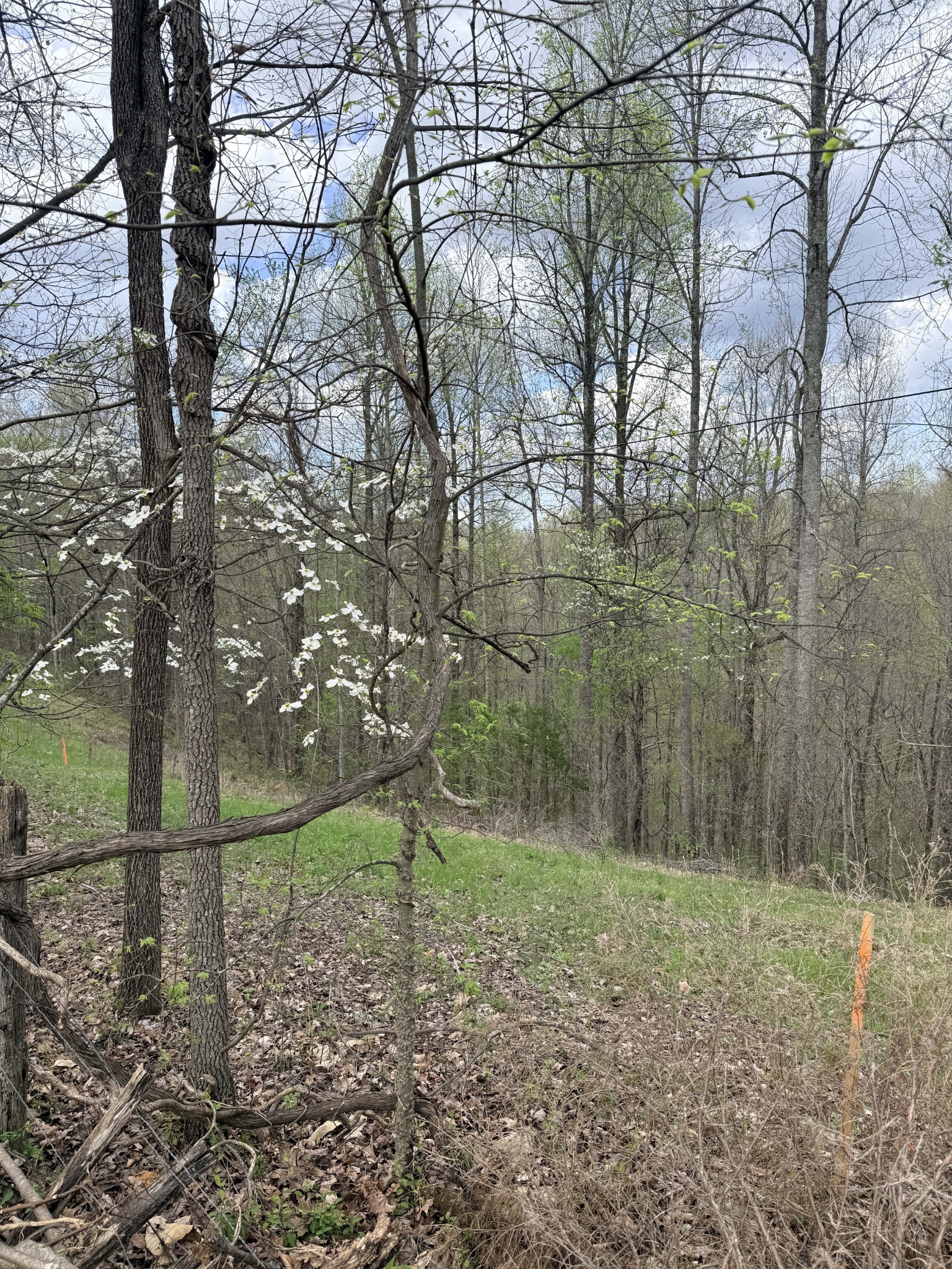 935 Sugar Tree Knob Road Liberty TN 37095