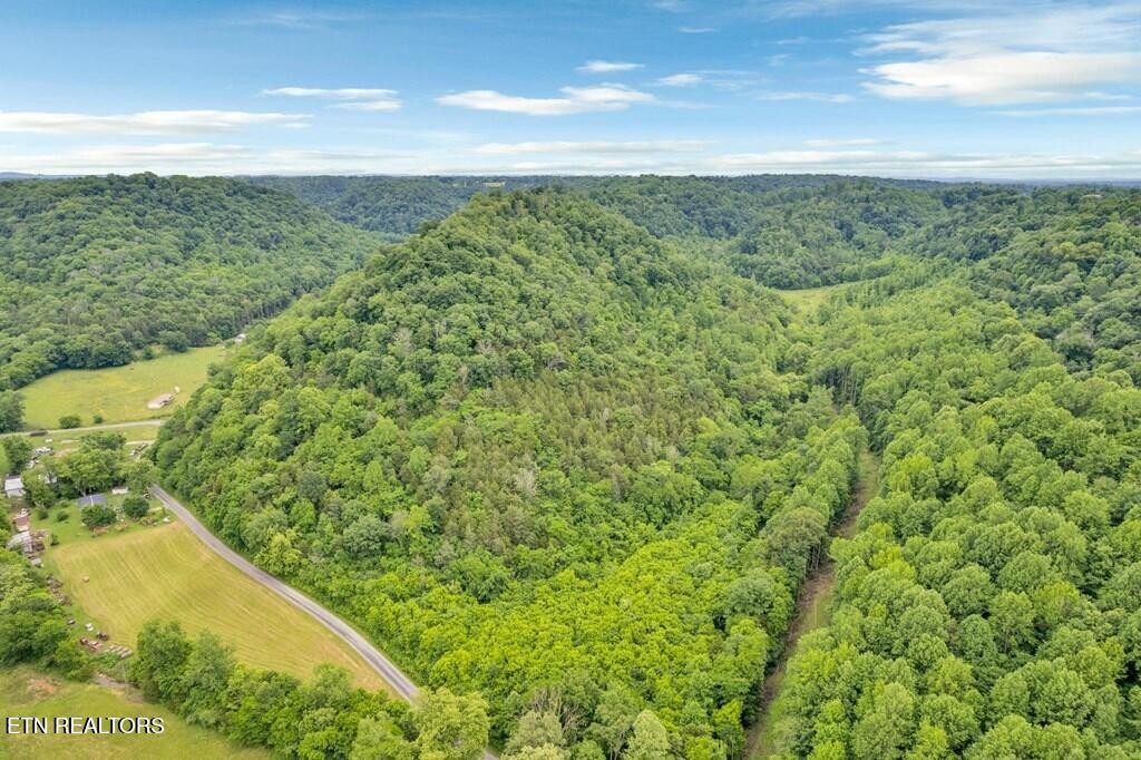 0 Hurricane Branch Lane Gainesboro TN 38562