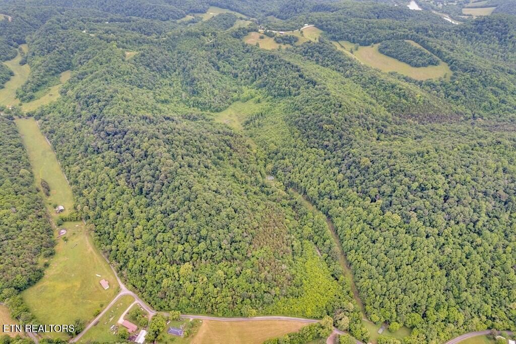 0 Hurricane Branch Lane Gainesboro TN 38562