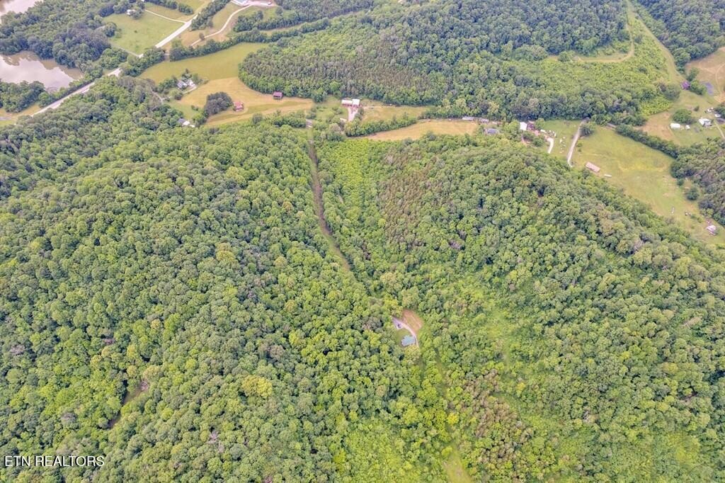 0 Hurricane Branch Lane Gainesboro TN 38562