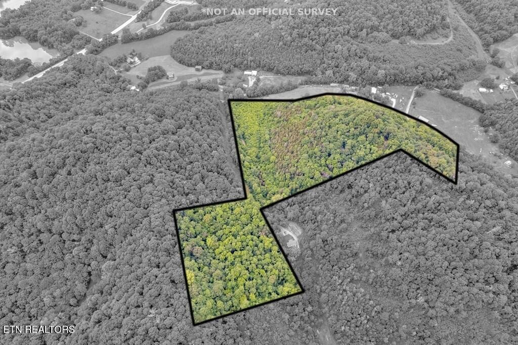 0 Hurricane Branch Lane Gainesboro TN 38562