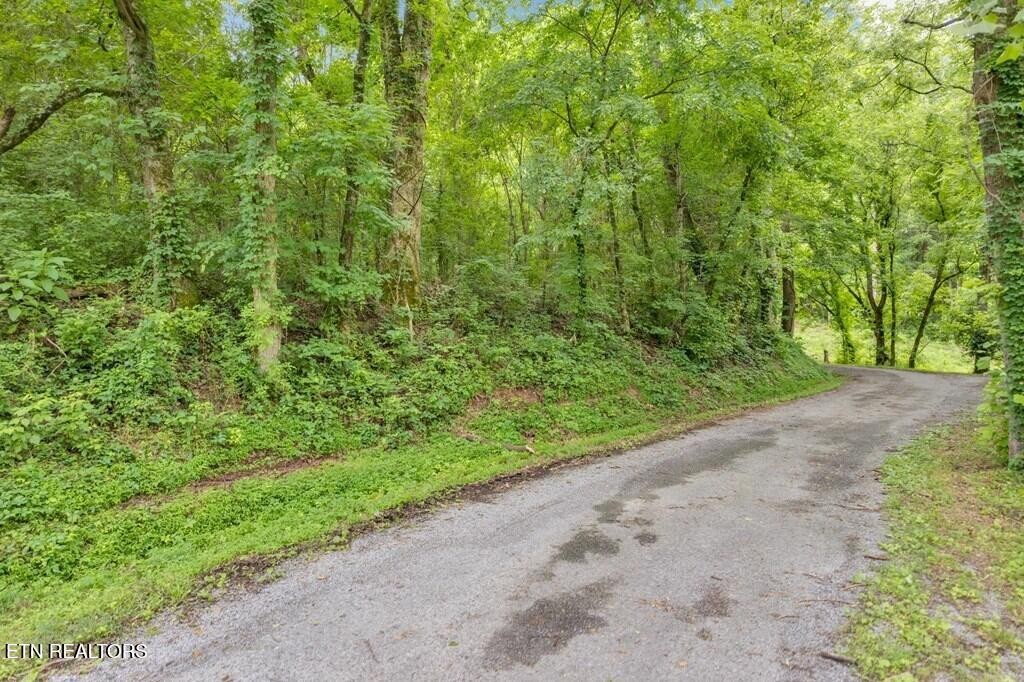 0 Hurricane Branch Lane Gainesboro TN 38562