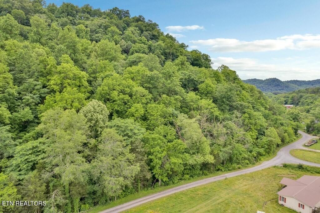 0 Hurricane Branch Lane Gainesboro TN 38562
