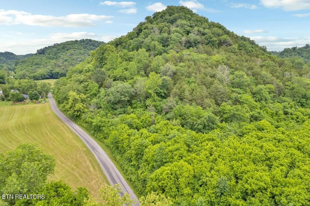 0 Hurricane Branch Lane Gainesboro TN 38562