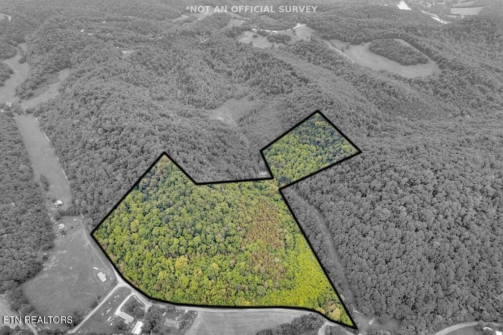 0 Hurricane Branch Lane Gainesboro TN 38562