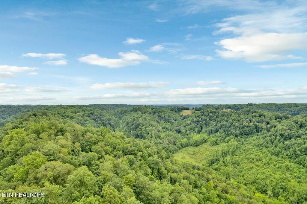 0 Hurricane Branch Lane Gainesboro TN 38562