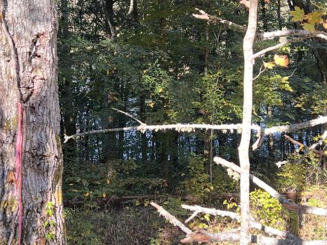 0 Shoreside Drive Smithville TN 37166