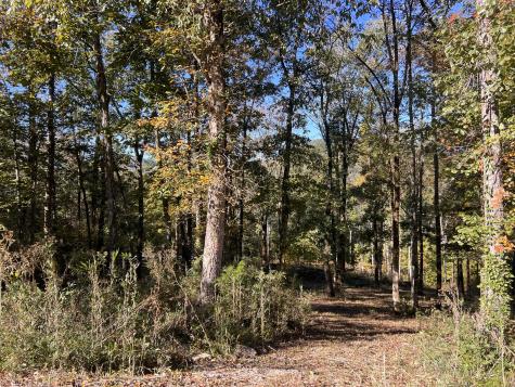 0 Shoreside Drive Smithville TN 37166
