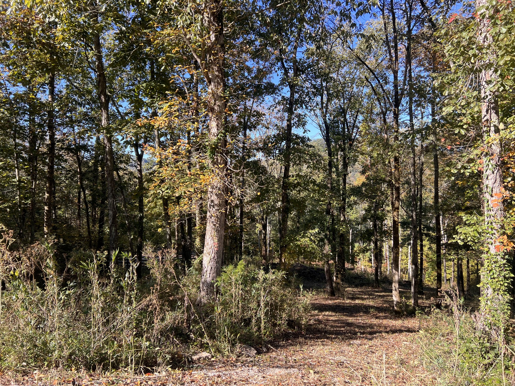 0 Shoreside Drive Smithville TN 37166