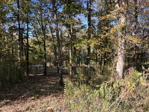 0 Shoreside Drive Smithville TN 37166