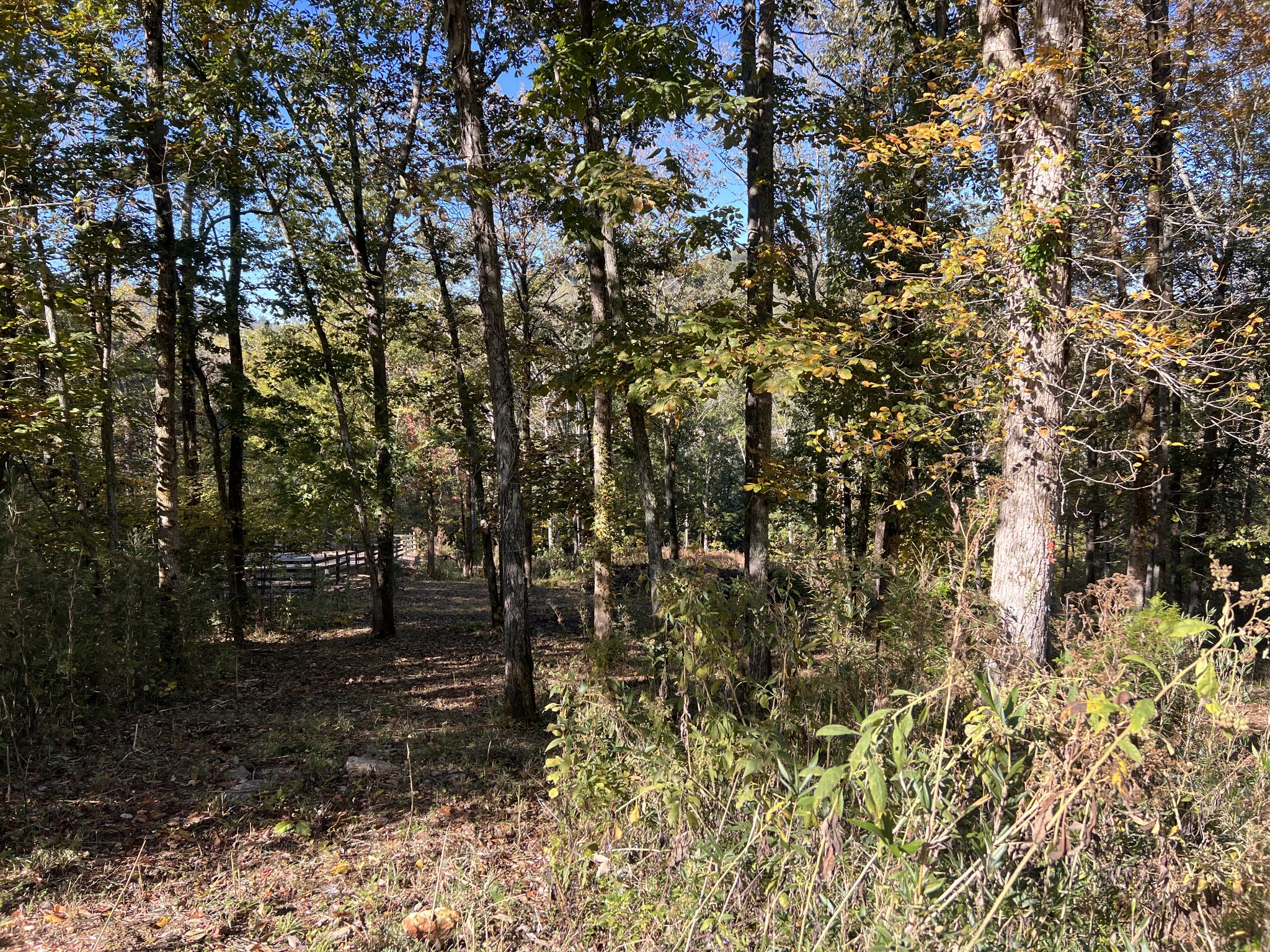0 Shoreside Drive Smithville TN 37166