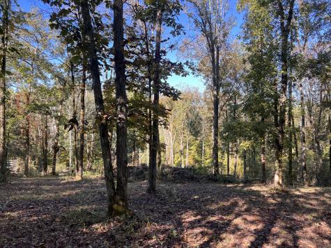 0 Shoreside Drive Smithville TN 37166