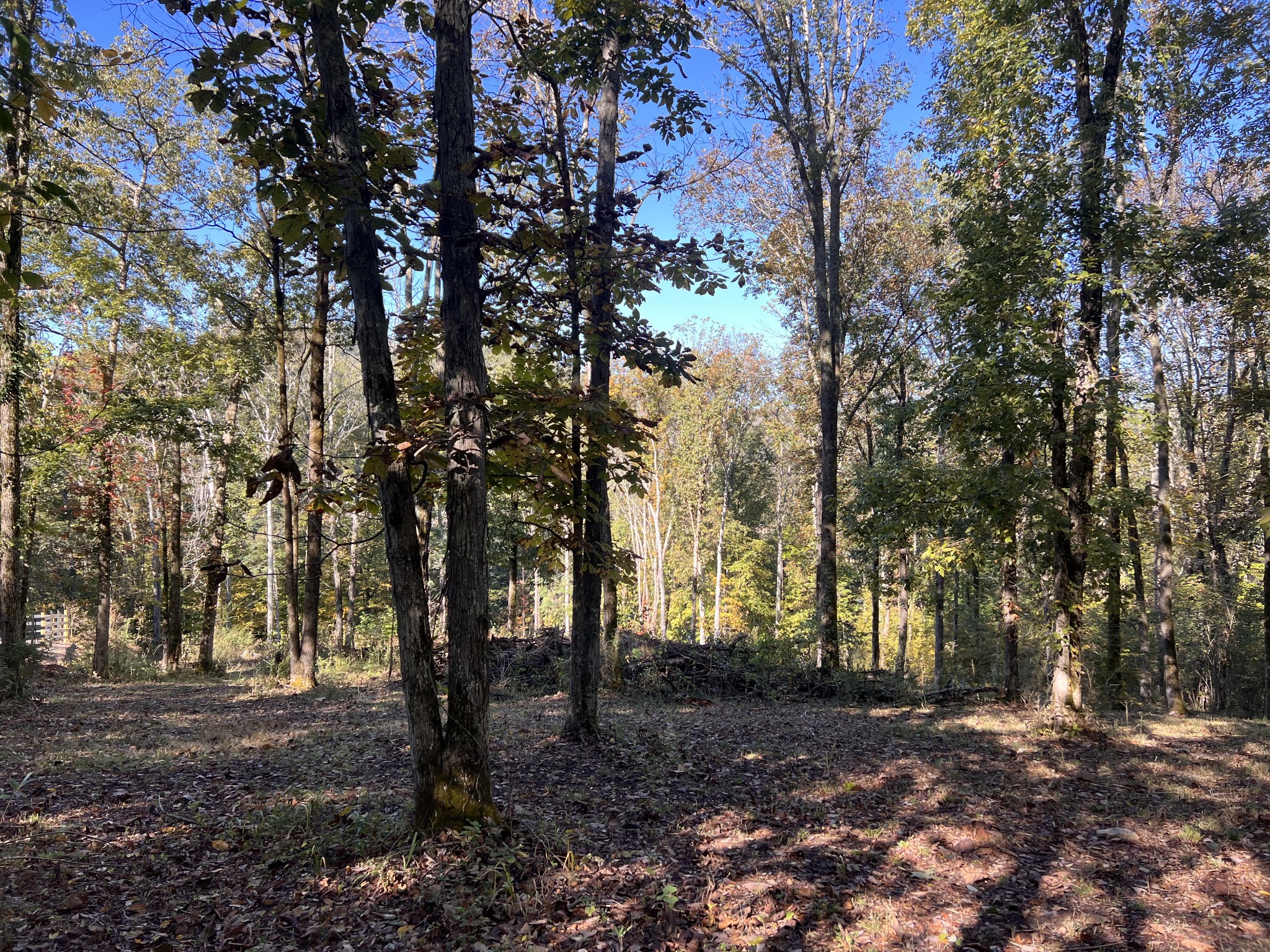0 Shoreside Drive Smithville TN 37166