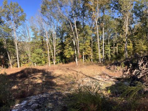 0 Shoreside Drive Smithville TN 37166