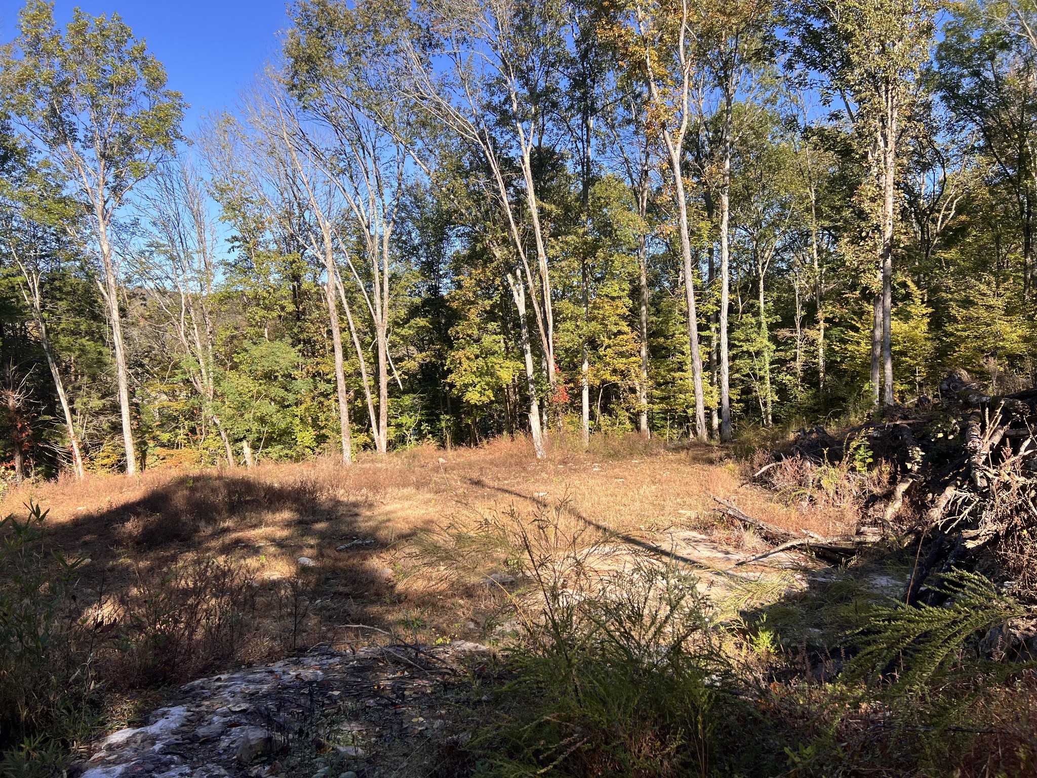 0 Shoreside Drive Smithville TN 37166