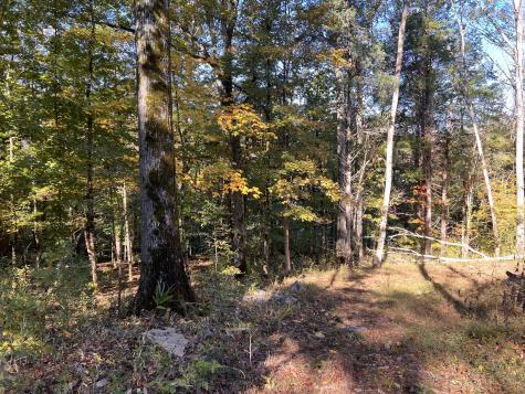 0 Shoreside Drive Smithville TN 37166