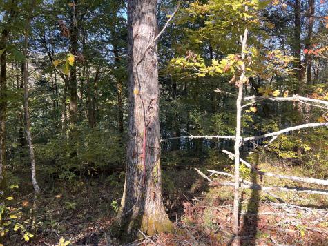 0 Shoreside Drive Smithville TN 37166