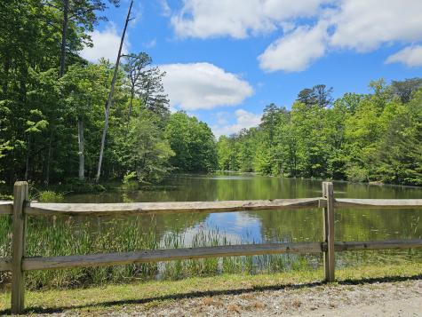 6 Beechwood Trail Coalmont TN 37313