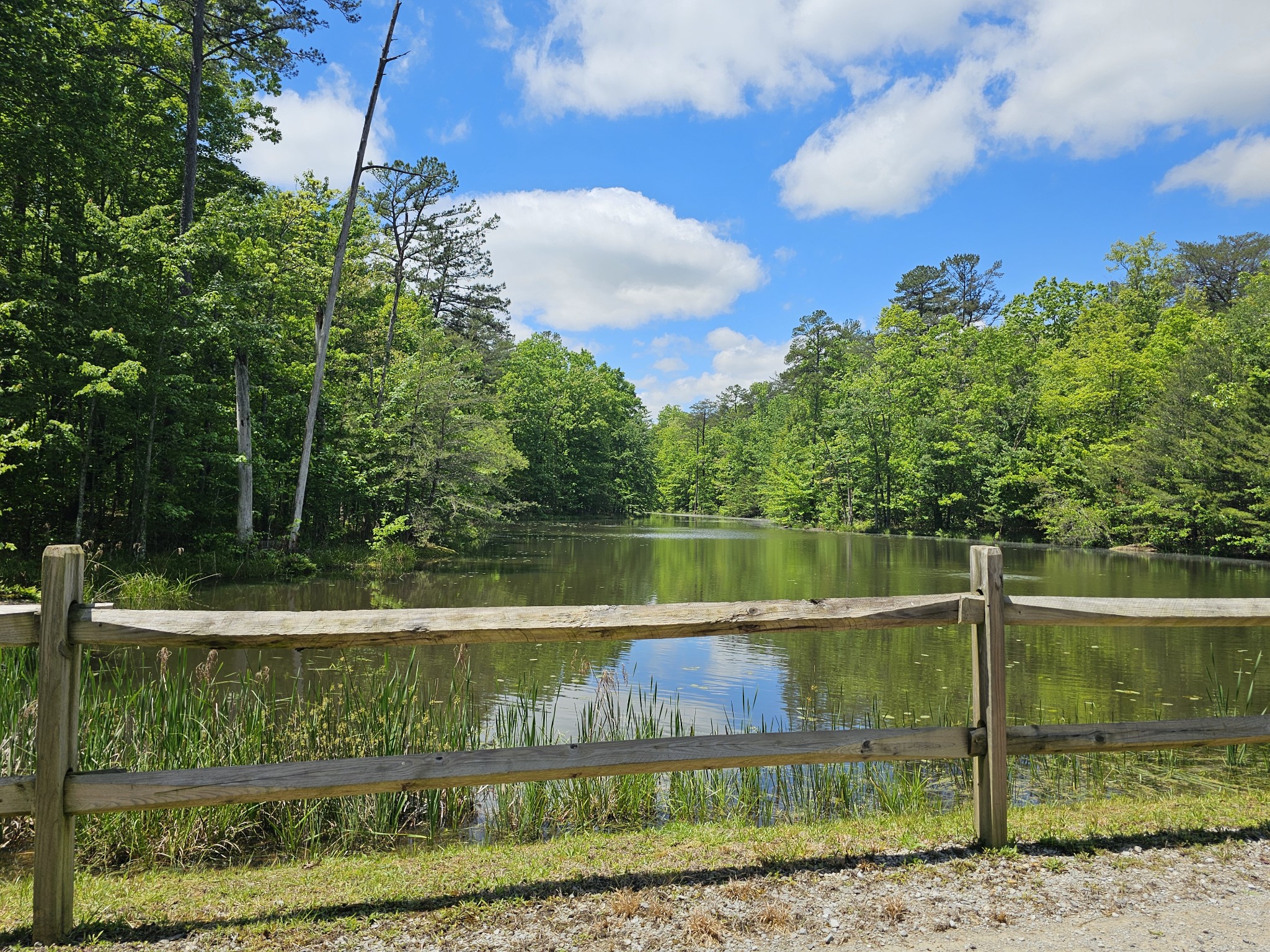 6 Beechwood Trail Coalmont TN 37313