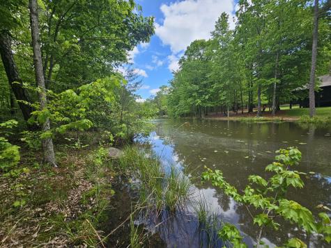 6 Beechwood Trail Coalmont TN 37313