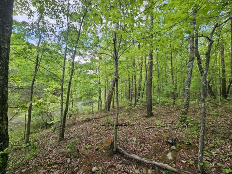 6 Beechwood Trail Coalmont TN 37313