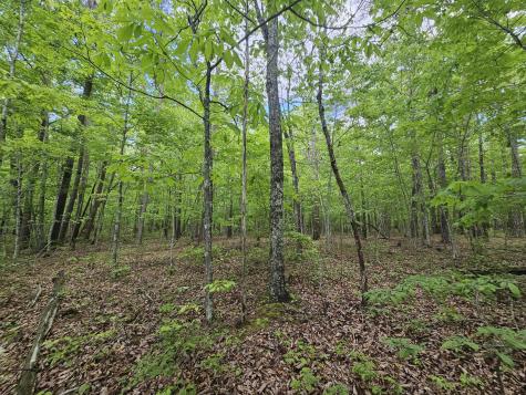 6 Beechwood Trail Coalmont TN 37313