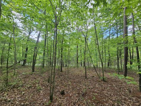 6 Beechwood Trail Coalmont TN 37313