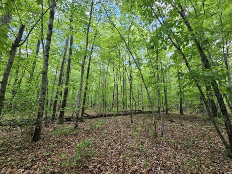 6 Beechwood Trail Coalmont TN 37313
