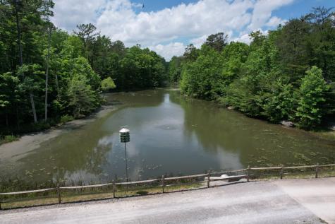 6 Beechwood Trail Coalmont TN 37313
