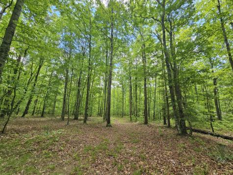 6 Beechwood Trail Coalmont TN 37313