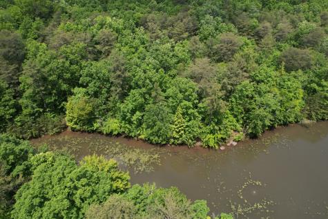 6 Beechwood Trail Coalmont TN 37313
