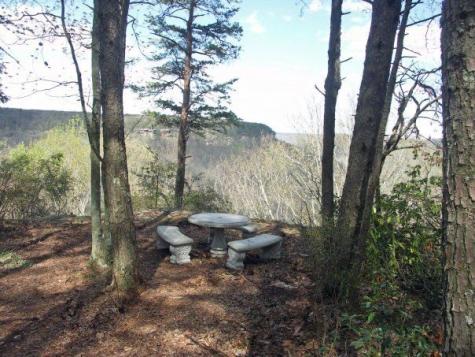 6 Beechwood Trail Coalmont TN 37313