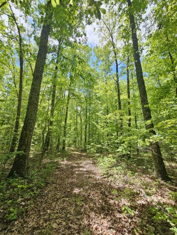 6 Beechwood Trail Coalmont TN 37313