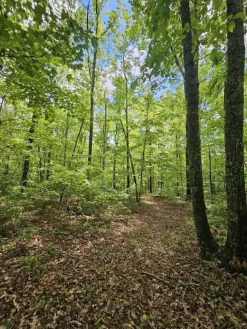 6 Beechwood Trail Coalmont TN 37313