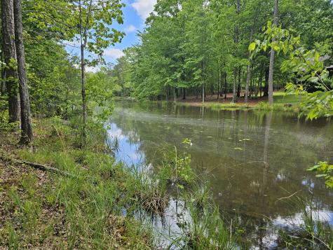 6 Beechwood Trail Coalmont TN 37313