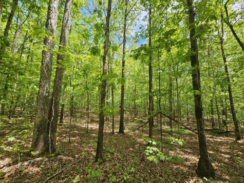 6 Beechwood Trail Coalmont TN 37313
