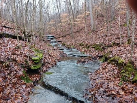 0 Brush Creek Road Fairview TN 37062