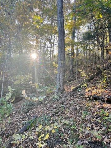 0 Brush Creek Road Fairview TN 37062