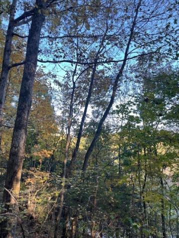 0 Brush Creek Road Fairview TN 37062