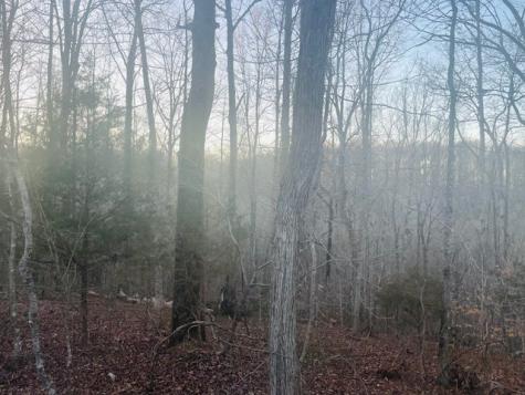 0 Brush Creek Road Fairview TN 37062