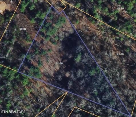 251 Mine Hollow Road Reliance TN 37369