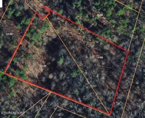 251 Mine Hollow Road Reliance TN 37369