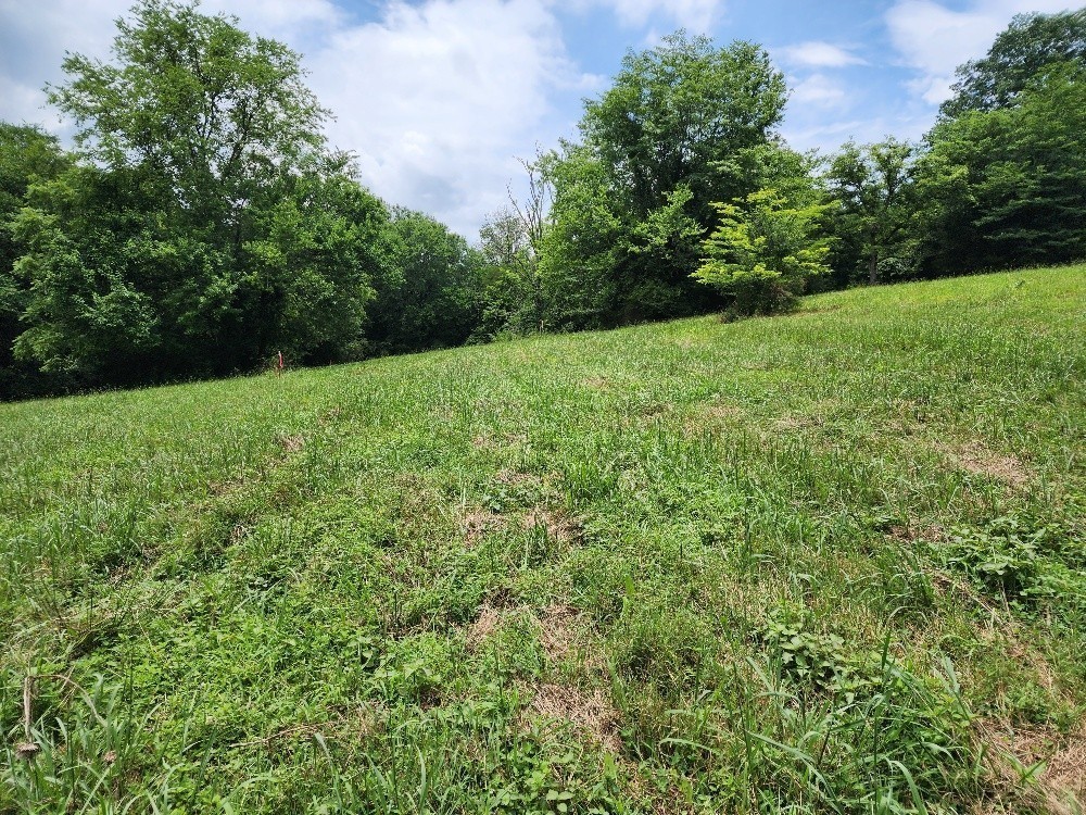 0 Granville Highway Granville TN 38564