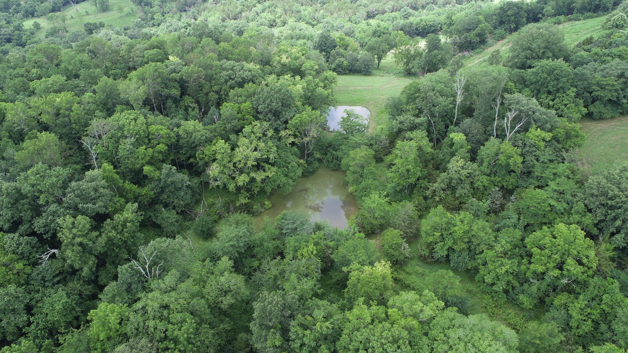 0 Granville Highway Granville TN 38564