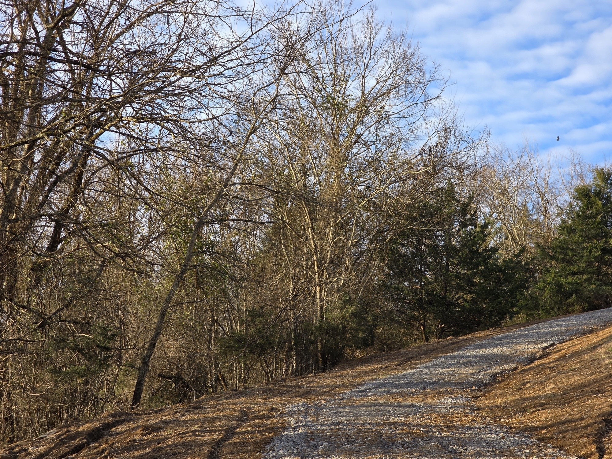 0 Granville Highway Granville TN 38564