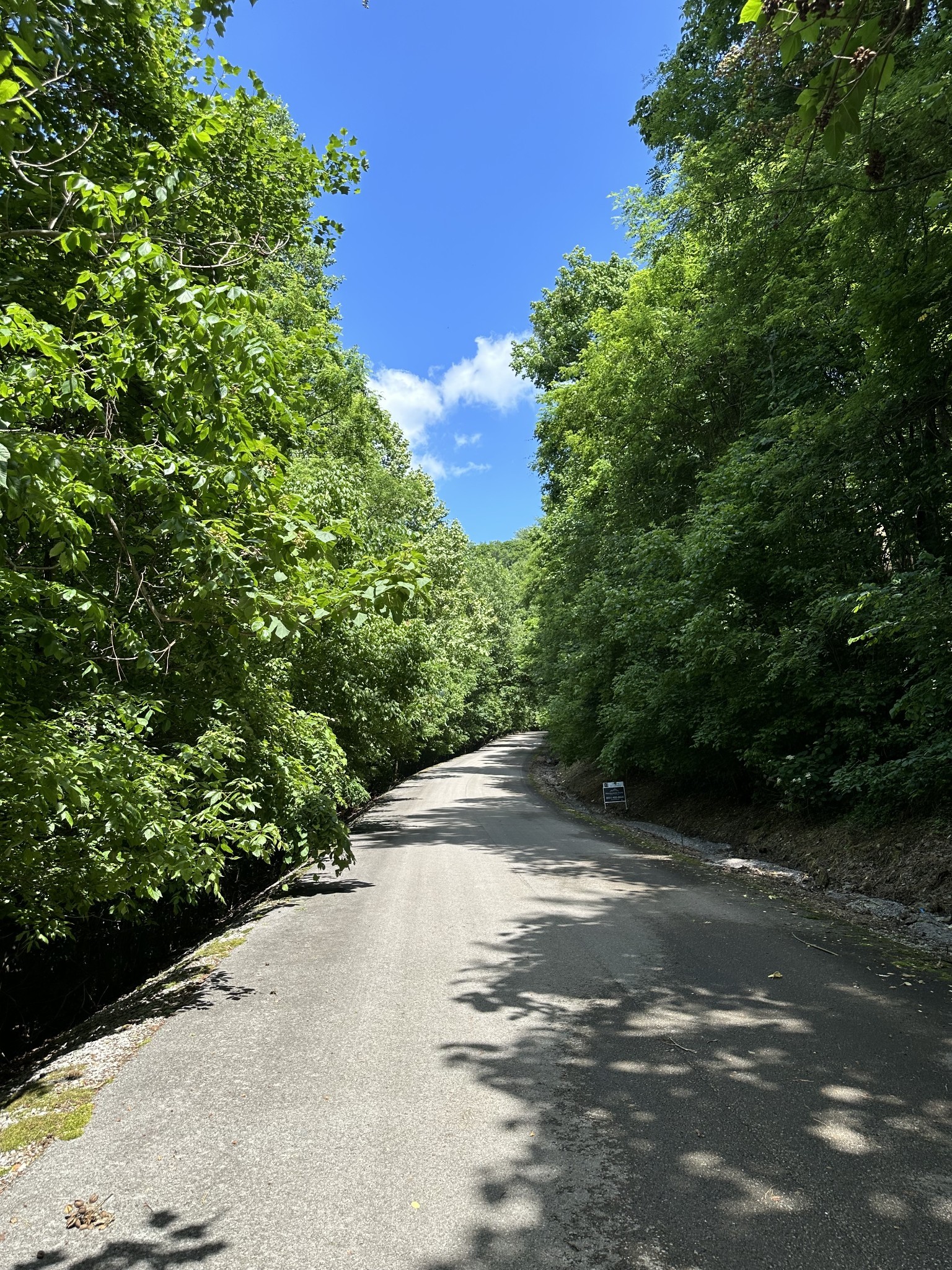 0 Shoreside Drive Smithville TN 37166