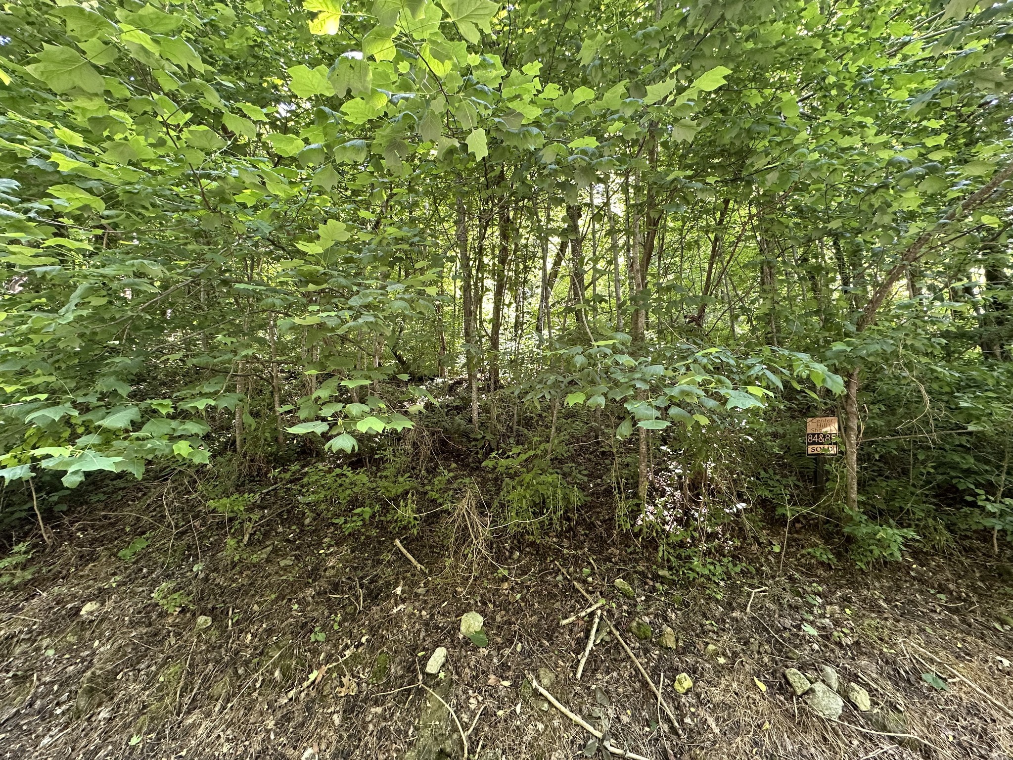 0 Shoreside Drive Smithville TN 37166