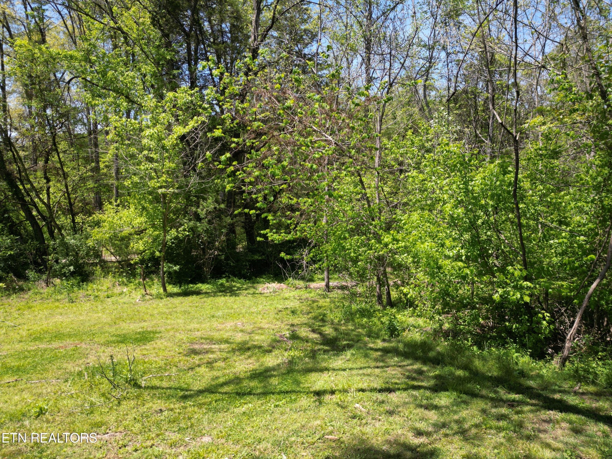 4915 E Raccoon Valley Drive Knoxville TN 37938