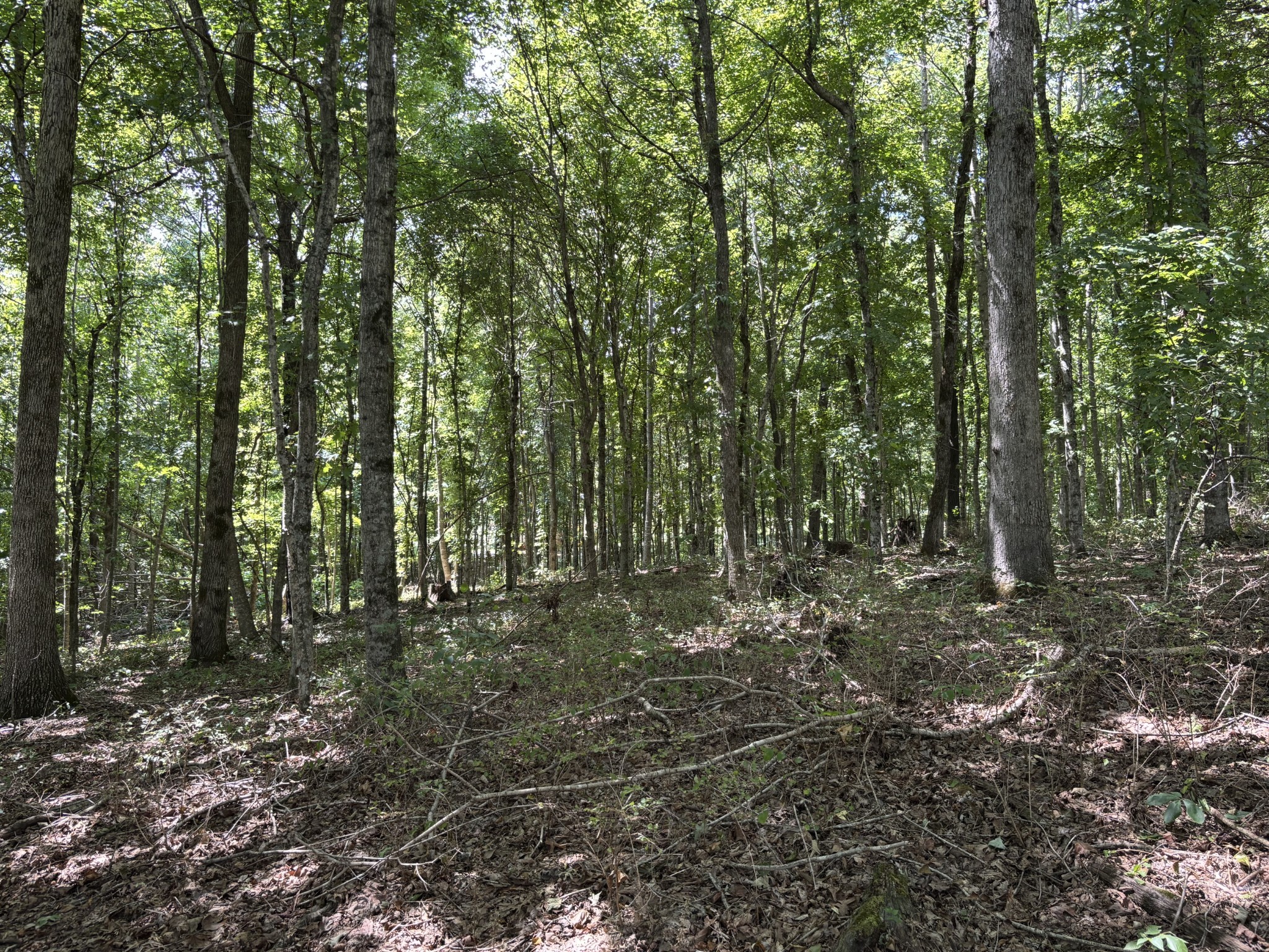 0 Middle Lick Creek Road Lyles TN 37098
